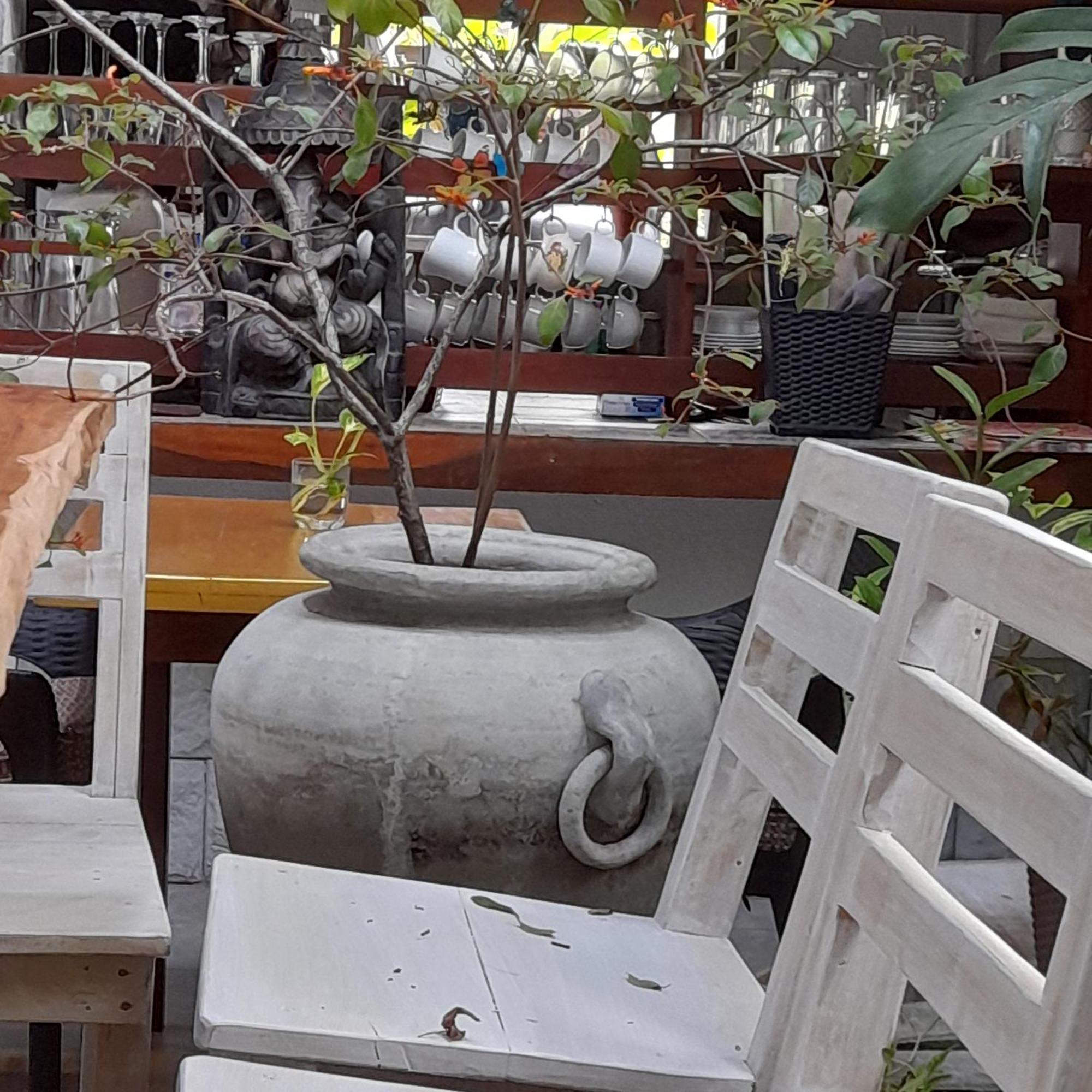 Shoba Traveller'S Tree Homes Stay ガル エクステリア 写真
